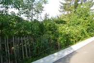 n06_P1780571