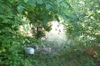 n08_P1780575