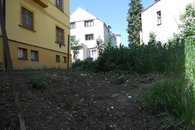 DSCN7464
