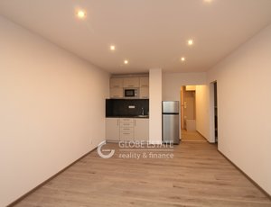 Pronájem, Byty 1+kk, 29 m² - Praha - Chodov