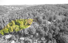 Pozemek horni s lesem DRON