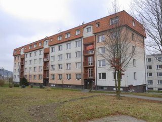 Prodej, byt 1+1, 37 m2, Dlouhoňovice u Žamberka, okr. Ústí nad Orlicí