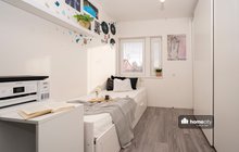 DSC08484