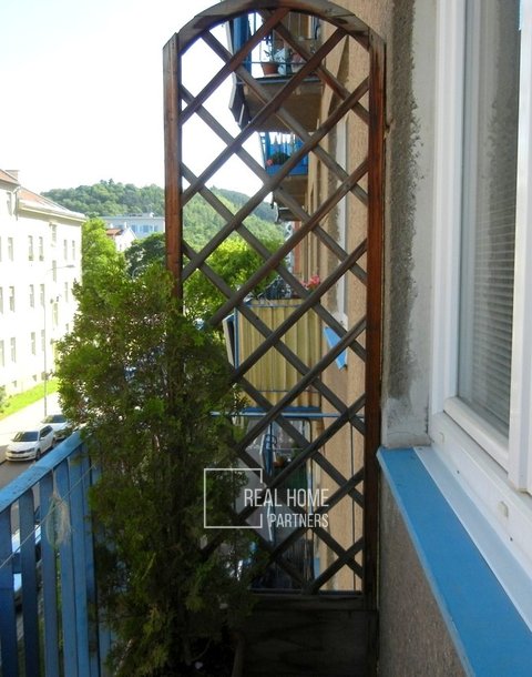 DSCN5957