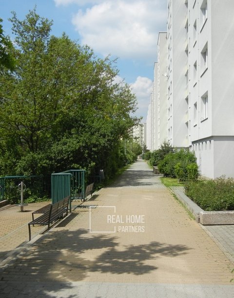 DSCN5834