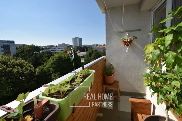 Prodej byt 3+1 v OV s balkónem 70 m2, Palackého třída, Brno - Královo Pole