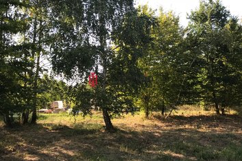 IMG_4639