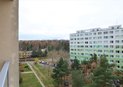DSC_6387 (2)