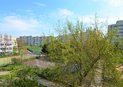 DSC_8673 (2)
