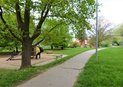 DSC_8778 (2)