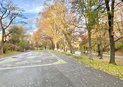 IMG_E6761
