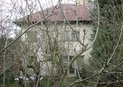 IMG_1418