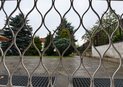 DSC_4706 (2)