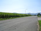 Prodej komerčního pozemku v obci Horní Tošanovice