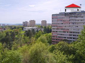 DSC_1010b