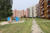 IMG_5407