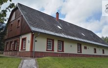 borovnice-foto