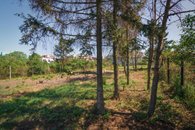 Wiesenthalova_18