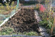 IMG_20221028_143209