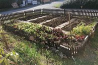 IMG_20221028_143134