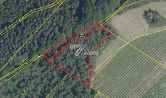 Prodej, Lesy, 5367 m² - Český Dub - Smržov