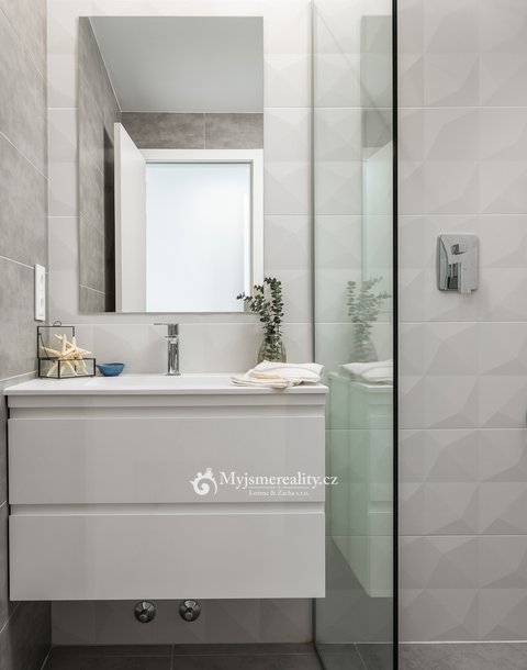 Paris IV_MASTER BATHROOM 3_
