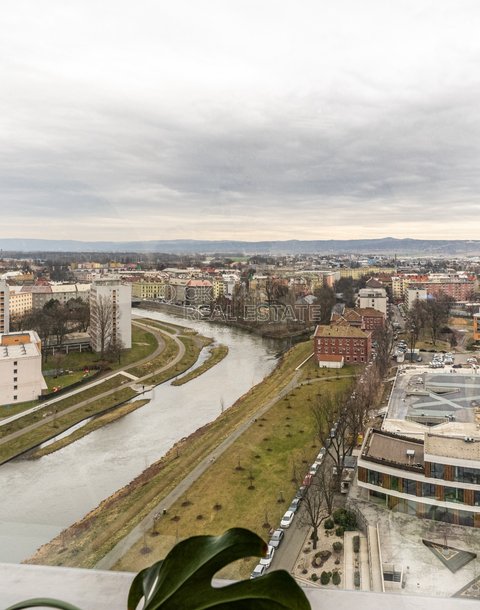 Vojtěch Vajda_profifoto-03