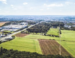 DJI_0012