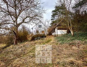 Prodej, dům s pozemkem, 4343m² - Krňany - Teletín