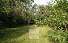 IMG_9047