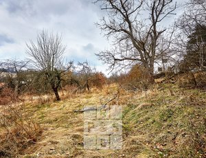 Prodej, Pozemky pro bydlení, 2000m² - Krňany - Teletín