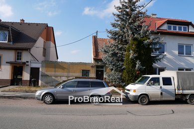 P1000361