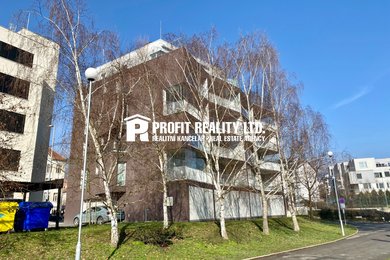 Pronájem bytu 3+kk, Beroun, Ev.č.: 100672