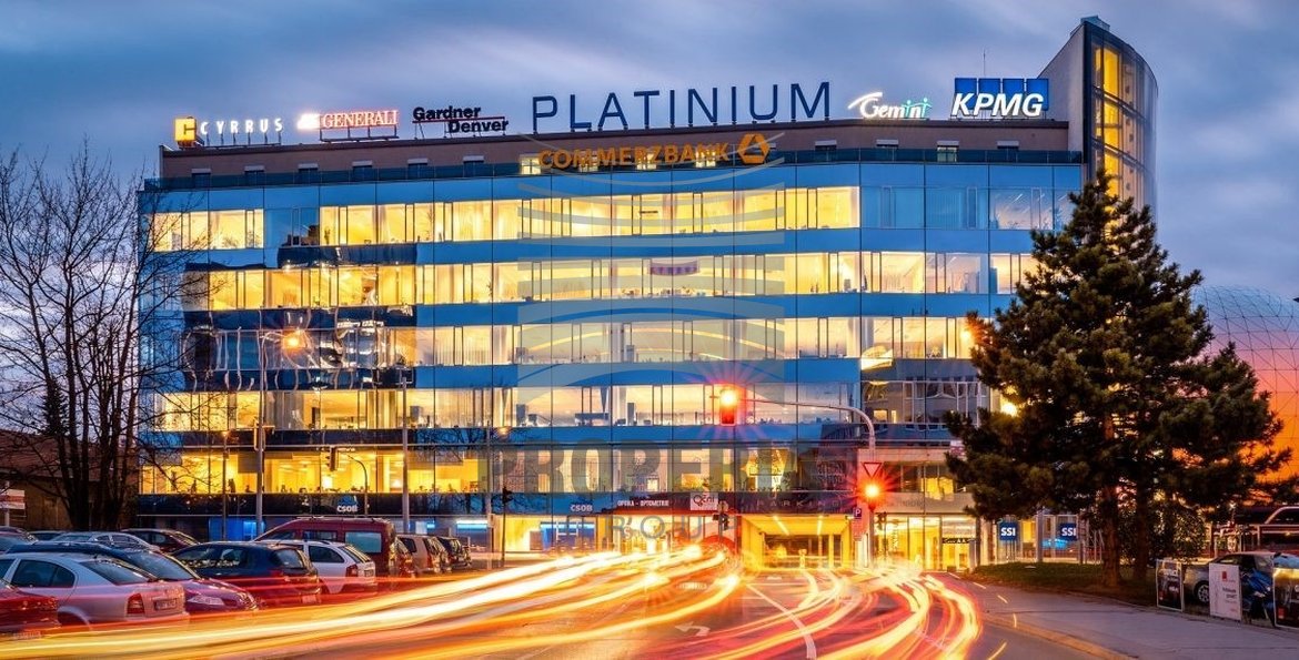 platinium3 platinium3
