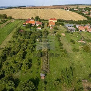 Prodej pozemku  vinohradu, zahrady, chov hospodářských zvířat 1 500 m² - Kobeřice u Brna