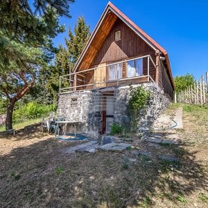 Prodej pozemků 1 287 m² s chatou 40 m² - Rousínov - Vítovice