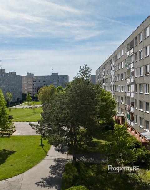 foto (1)
