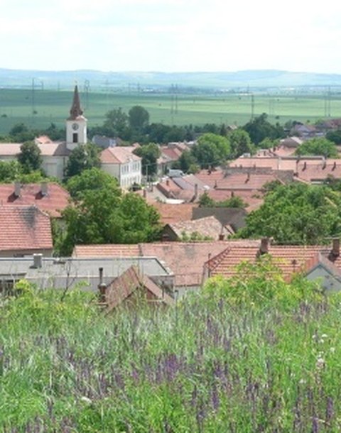 Pohled_na_Ujezd_z_vrsku_Kriby