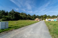 DSC03113