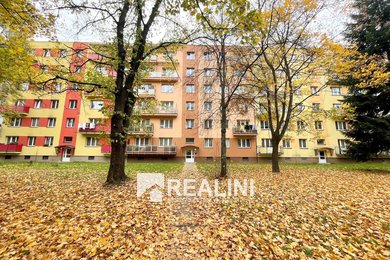 Pronájem bytu 2+1, 50m² na ulici Alžírská, Ostrava - Poruba, bez balkónu, Ev.č.: 00493