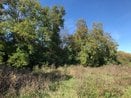 Prodej, pozemek pro komerční výstavbu, 2123m² - Spytihněv, Ev.č.: 00262