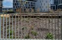 IMG_5914