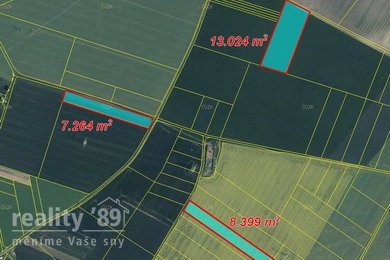 Prodej, Zemědělská půda, 46326 m² - Veleň, Ev.č.: 00421