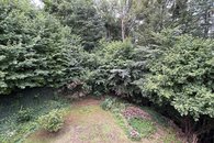 image6