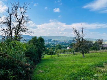 IMG_2498