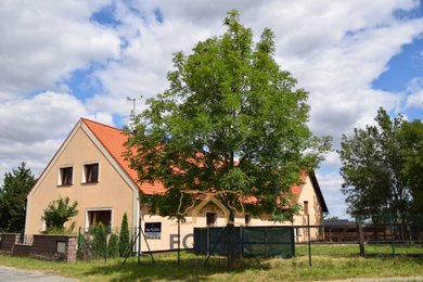 Prodej, Zemědělská usedlost, 570m² - Lipník