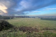 IMG_2589