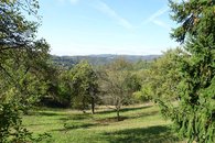 DSC07929