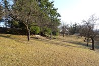 DSC01051