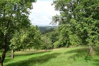 DSC07199
